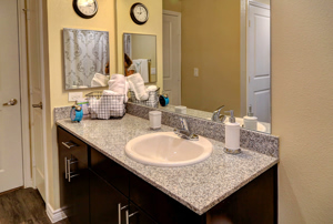 Photo of Bath Vanity within an Apartment at Martha's Vineyard Place Apartments